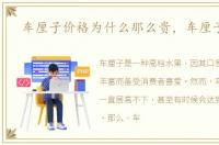 车厘子价格为什么那么贵，车厘子价格