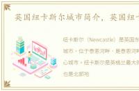 英国纽卡斯尔城市简介，英国纽卡斯尔