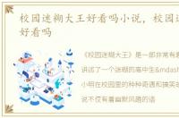校园迷糊大王好看吗小说，校园迷糊大王好看吗