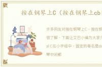 按在钢琴上C（按在钢琴上cbl）