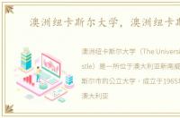 澳洲纽卡斯尔大学，澳洲纽卡斯尔
