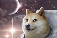 6个月上涨近250倍的狗狗币，以后还有上涨的空间吗？ 狗狗币未来涨到1000美金