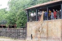 东莞一日游最佳景点推荐 东莞哪里好玩旅游景区