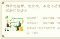狗狗没精神，没食欲，不爱运动怎么办？ 宠物问题咨询