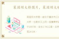 菜园坝大桥图片，菜园坝大桥