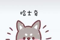 简笔画怎么画可爱狗？ 可爱小狗简笔画彩色