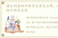 澳大利亚纽卡斯尔大学怎么样，澳大利亚纽卡斯尔大学