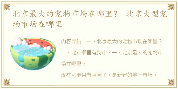 北京最大的宠物市场在哪里？ 北京大型宠物市场在哪里