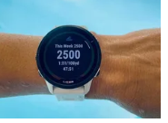 GarminForerunner955收到包含各种错误修复和新功能的新测试版更新