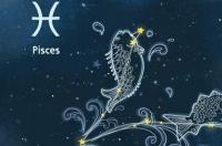 12 月24是什么星座？ 十二星座都是什么鬼