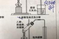 乙酸乙酯的溶解度？ 乙酸乙酯在水中的溶解度