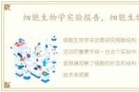 细胞生物学实验报告，细胞生物学
