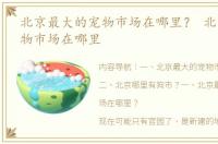 北京最大的宠物市场在哪里？ 北京大型宠物市场在哪里