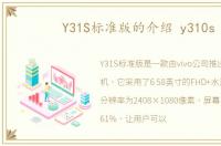Y31S标准版的介绍 y310s