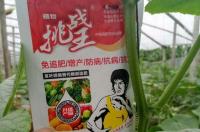 高含量腐殖酸的用途是什么？ 腐殖酸的作用及功能