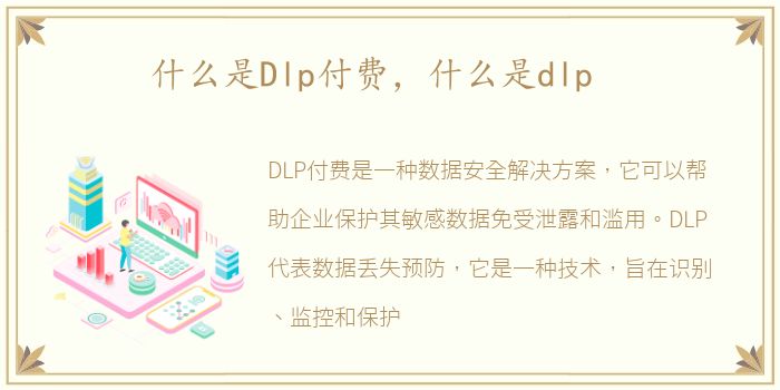 什么是Dlp付费，什么是dlp