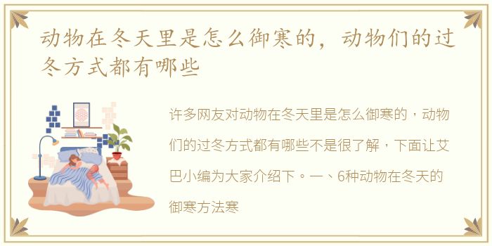 动物在冬天里是怎么御寒的，动物们的过冬方式都有哪些
