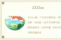 3333se