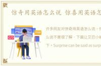 惊奇用英语怎么说 惊喜用英语怎么说