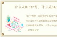 什么是Dlp付费，什么是dlp