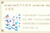 premium是什么版本 premium download什么意思