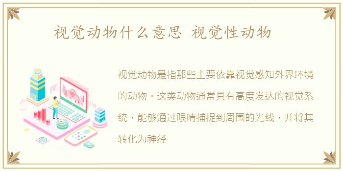 视觉动物什么意思 视觉性动物