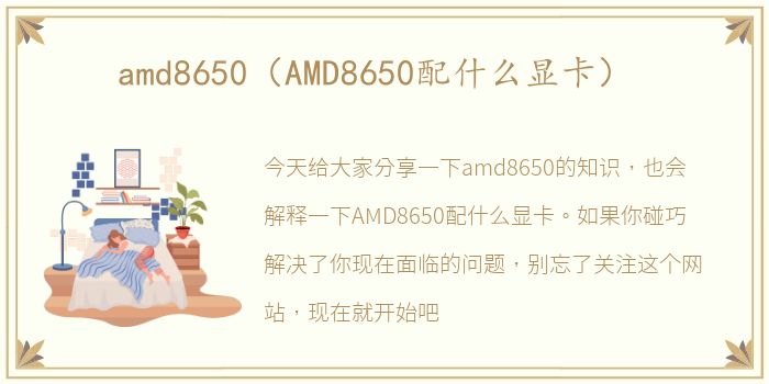 amd8650（AMD8650配什么显卡）