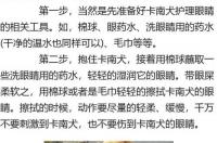 在外形上，卡南犬与中华田园犬相似，卡南犬值多少钱一只呢？ 卡南犬体重