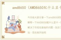 amd8650（AMD8650配什么显卡）