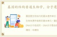 基因的结构普通生物学，分子遗传学