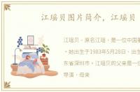 江瑶贝图片简介，江瑶贝