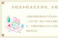 水鳕鱼和鳕鱼有区别吗，水鳕鱼
