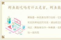 鳄鱼能吃吗有什么危害，鳄鱼能吃吗