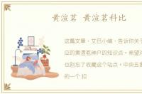 黄渲茗 黄渲茗科比