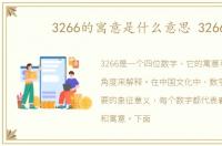 3266的寓意是什么意思 3266