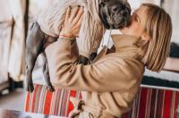 法斗的优缺点？ 法国斗牛犬臭吗