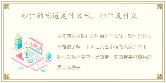 砂仁的味道是什么味，砂仁是什么