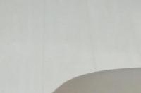 狗狗多大的时候开始训练最好？ 小狗从什么时候开始训练