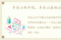 羊台山的介绍，羊台山森林公园