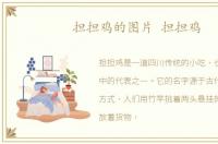 担担鸡的图片 担担鸡