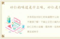 砂仁的味道是什么味，砂仁是什么