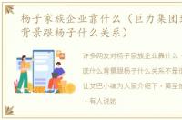 杨子家族企业靠什么（巨力集团到底什么背景跟杨子什么关系）