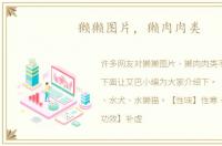 獭獭图片，獭肉肉类