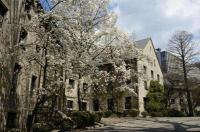韩国梨花女子大学好吗？ 梨花女子大学韩国排名