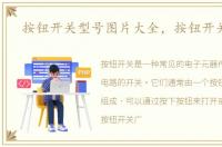 按钮开关型号图片大全，按钮开关型号
