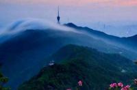 深圳关内免费的旅游景点有哪几个？ 深圳好玩的地方免费景点