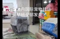 机场行李托运费用怎么算？ 机场宠物托运怎么收费