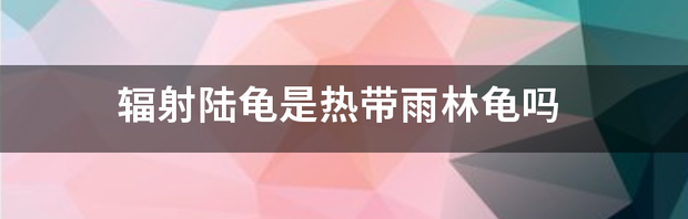t01d137d8119b01feb5.png