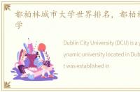 都柏林城市大学世界排名，都柏林城市大学