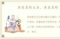 鱼类名称大全，鱼类名称
